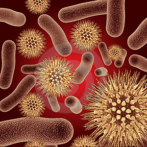 bacterias_geometricas.jpg